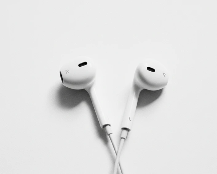 EchoWire Pro Wired Earphones - Inline Mic, Tangle-Free, Bass Boost